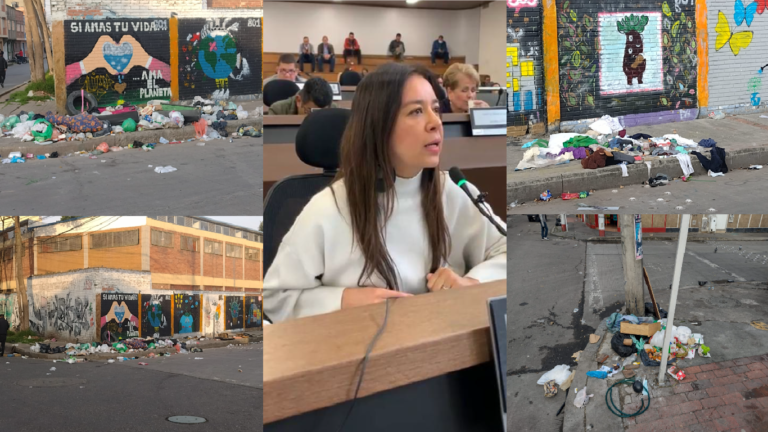 <strong>EL MAL MANEJO DE LAS BASURAS AFECTAN LOS ENTORNOS ESCOLARES</strong>