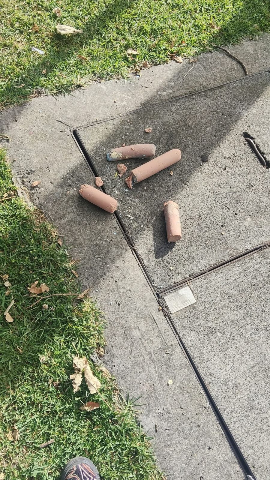 En este momento estás viendo ALERTA POR COMIDA ENVENENADA PARA PERROS EN PARQUE DE TOBERÍN